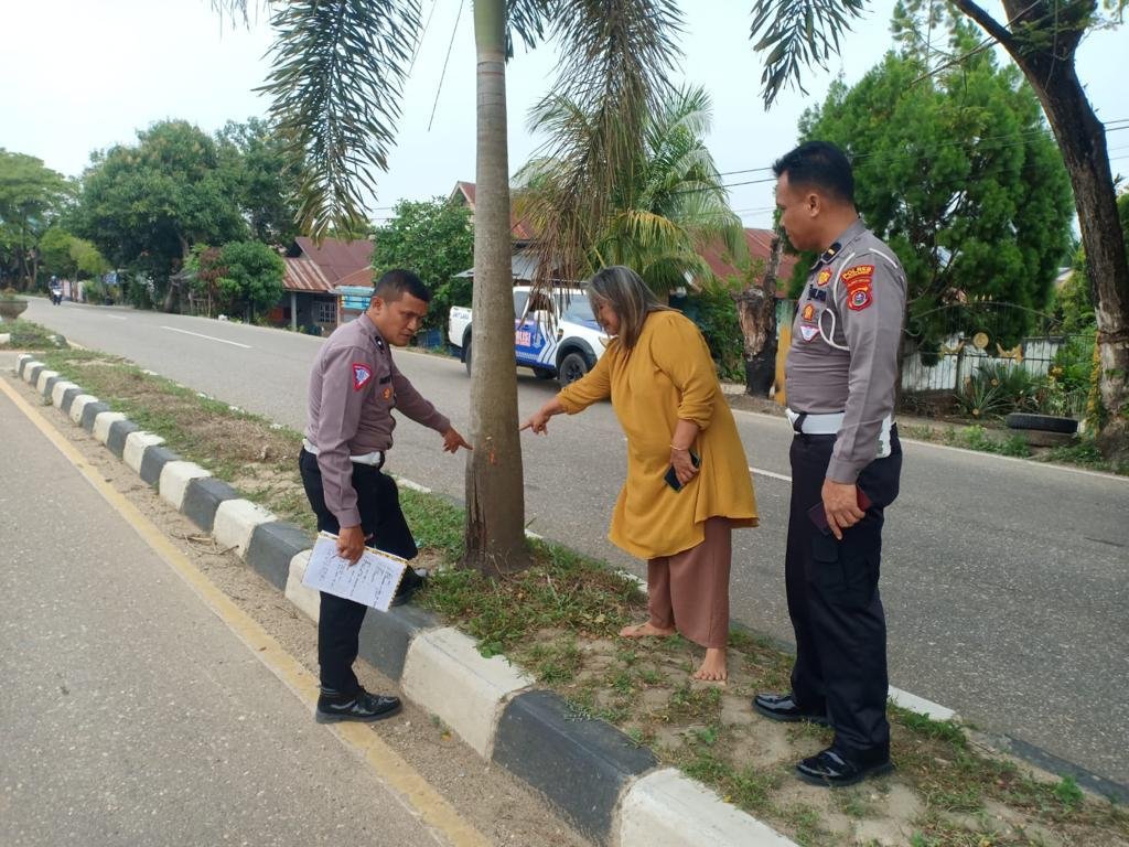 Pemuda asal Koltim Tewas Usai Tabrak Pohon Palem di Konawe Pemuda asal Koltim Tewas Usai Tabrak Pohon Palem di Konawe