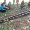 Warga Mubar Kembali Temukan Ular Sepanjang 8 Meter sedang Lilit Anjing di Belakang Sekolah