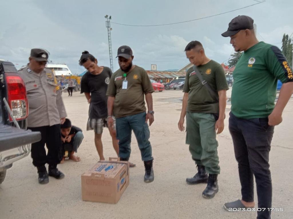 Petugas BKSDA Sultra mengamankan satwa endemik Wakatobi, burung kacamata (Zosterops consobrinorum), yang hendak diselundupkan via jalur laut.