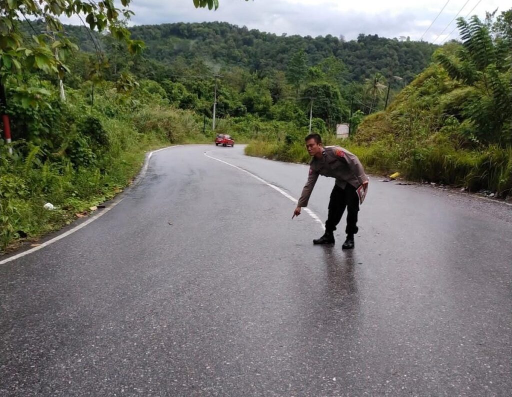 TKP lakalantas yang tewaskan anak berusia 7 tahun di Konsel.
