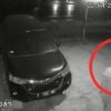 Pelaku Pencurian Motor di Ranomeeto Konsel Terekam CCTV