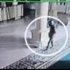 Seorang Pria Terekam CCTV Gasak Kotak Amal Masjid di Konsel