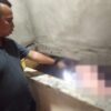 Pria di Kendari Ditemukan Tewas Tanpa Busana Dalam Bak Penampung Air Kamar Mandi