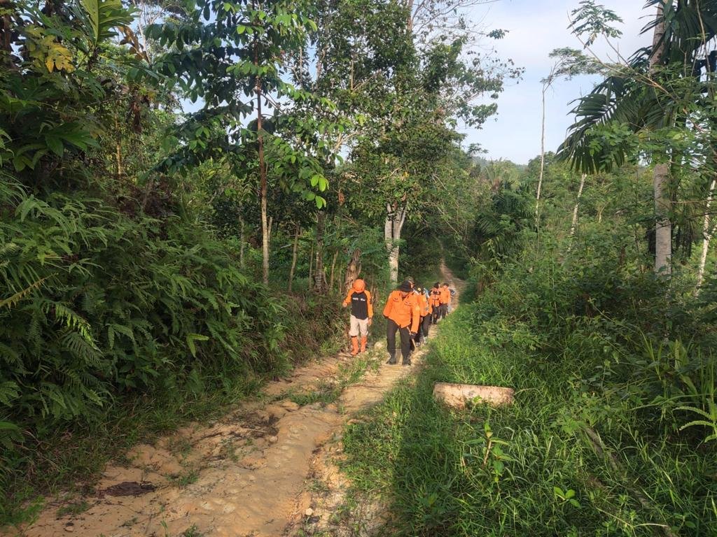 Tim SAR Gabungan melakukan pencarian warga yang hilang di kebun sagu di Mowila.