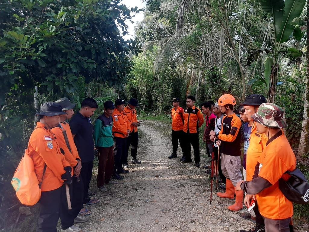 Tim SAR Lakukan Pencarian Warga Konsel yang Tak Pulang saat Pergi ke Kebun Sagu Tim SAR Lakukan Pencarian Warga Konsel yang Tak Pulang saat Pergi ke Kebun Sagu