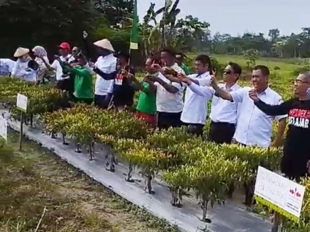 Dikbud Sultra Bersama Bank Indonesia ikut panen hasil pertanian siswa di Kabupaten Konawe.