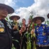 Lapas Kelas II A Kendari dan Dinas Pertanian Panen Jagung Ungu dan Tomat Hasil Bumi Warga Binaan