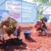 PT Vale Bangun Nursery di Pomalaa untuk Buktikan Komitmen Keberlanjutan pada Lingkungan