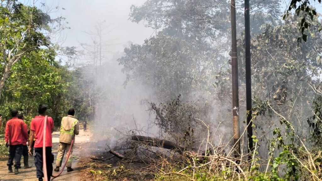 Kepulan asap mengepung gedung Fakultas Pertanian setelah sejumlah lahan di kawasan UHO Kendari terbakar.
