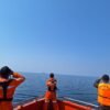 7 Hari Pencarian ABK KM Sumber Rejeki Usai Tabrakan dengan MV Sami Tak Membuahkan Hasil