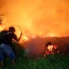 Lokasi Kebakaran Sulit Dilalui, Kobaran Api Makin Membesar dan Merembet ke Perkebunan Warga Kendari