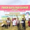 Pj. Gubernur Ikuti Panen Raya di Atas Areal Sawah Sekira 564 Hektare yang Terletak di Konsel