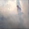Cegah Penyebaran DBD, Dinkes Kendari Laksanakan Fogging di 105 Titik