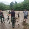 TNI Lakukan Proses Evakuasi 7 Wisatawan yang Terjebak Banjir di Sungai Kolaka
