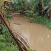 Bocah Perempuan Tenggelam di Sungai Ladongi, Koltim, Tim SAR Lakukan Pencarian