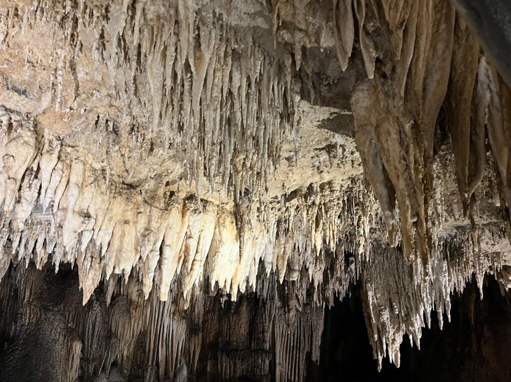 Gugusan stalaktit di Gua Laumehe, Desa Wantopi, Kecamatan Mawasangka Timur, Kabupaten Buton Tengah (Buteng), Sulawesi Tenggara (Sultra).