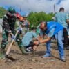 Komitmen Jaga Lingkungan, PLN NP Services Tanam Mangrove di Pesisir Konawe