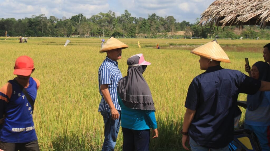 Calon Bupati Konawe Selatan, Radhan bersama warga Desa Anese.