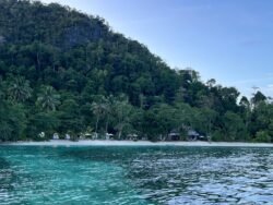 Rekomendasi Resort saat Liburan ke Labengki Konut