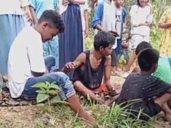 Ular yang Ditangkap Warga Punggaloba Ternyata Berukuran 8 Meter, Ditangkap Hidup-Hidup