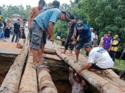 Jalan di Konsel Putus, Polisi dan Warga Buat Jembatan Darurat dari Batang Kelapa