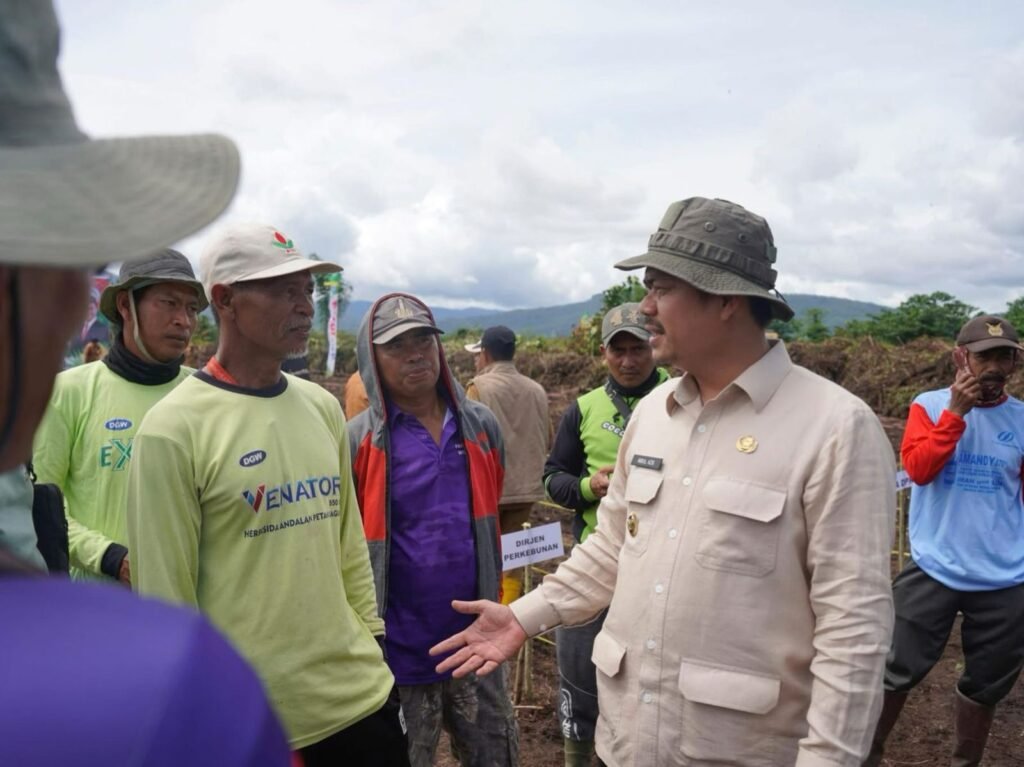 Penanaman jagung 1 hektare di Kolaka Timur.