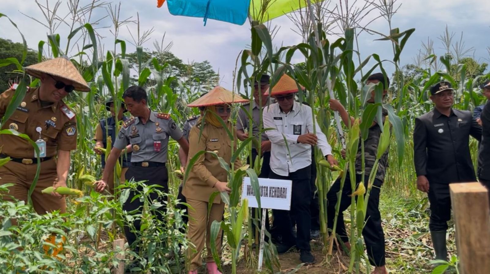 Wali Kota Kendari Ikut Panen Jagung dan Cabai di Kebun Asimilasi Warga Binaan Lapas Wali Kota Kendari Ikut Panen Jagung dan Cabai di Kebun Asimilasi Warga Binaan Lapas