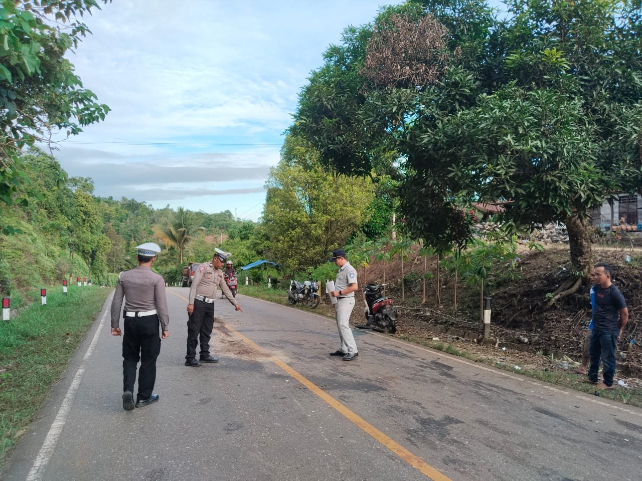 Kecelakaan di Lasusua, Kolut, Pemotor Meninggal Usai Tabrak Truk Kecelakaan di Lasusua, Kolut, Pemotor Meninggal Usai Tabrak Truk