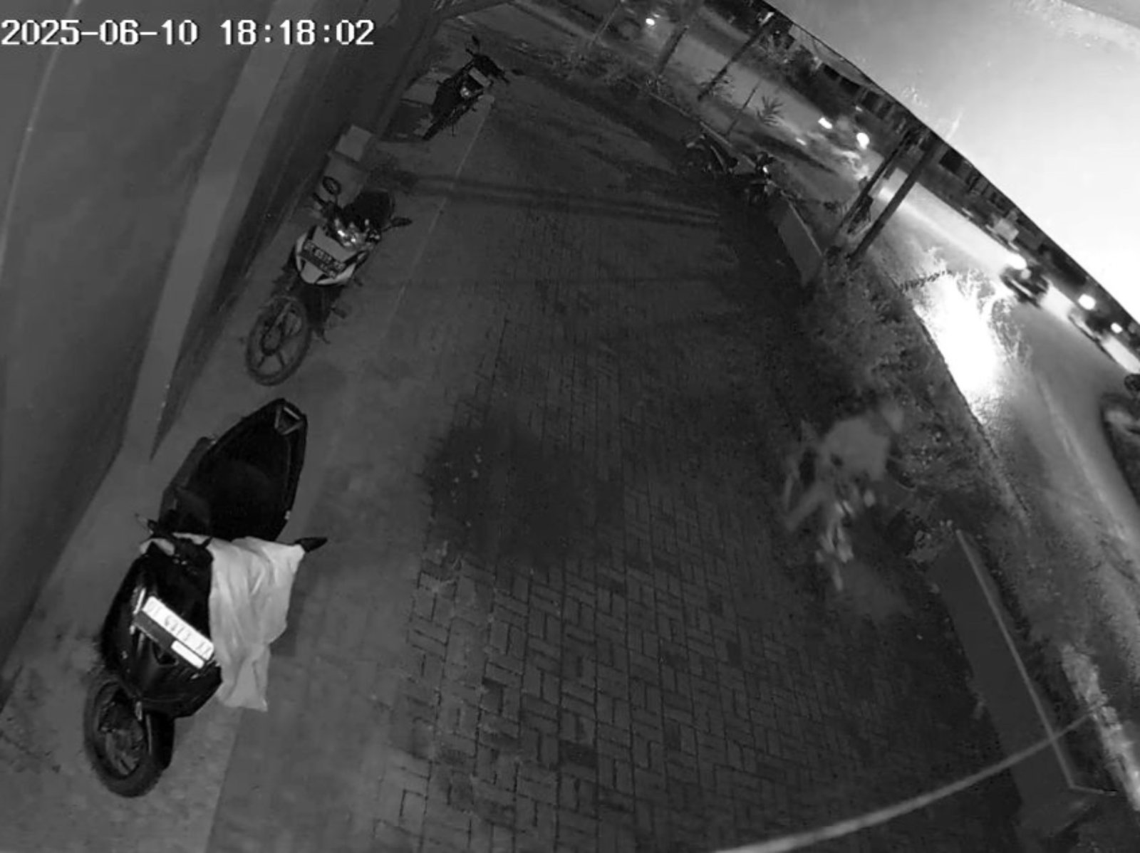 Motor Mahasiswi di Kendari Dicuri saat Mengajar, Aksi Pelaku Terekam CCTV Motor Mahasiswi di Kendari Dicuri saat Mengajar, Aksi Pelaku Terekam CCTV