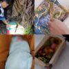 4 Rentetan Kasus Bayi di Sultra Dibuang Belum Terungkap