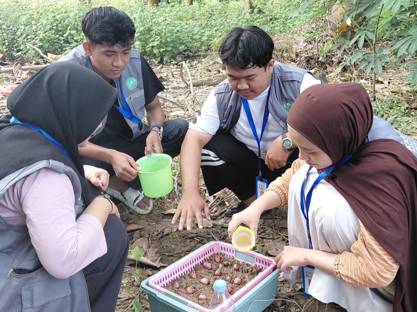 Mahasiswa KKN IAIN Kendari Menginisiasi Teknik Urban Farming Bawang Merah di Moramo Utara Mahasiswa KKN IAIN Kendari Menginisiasi Teknik Urban Farming Bawang Merah di Moramo Utara