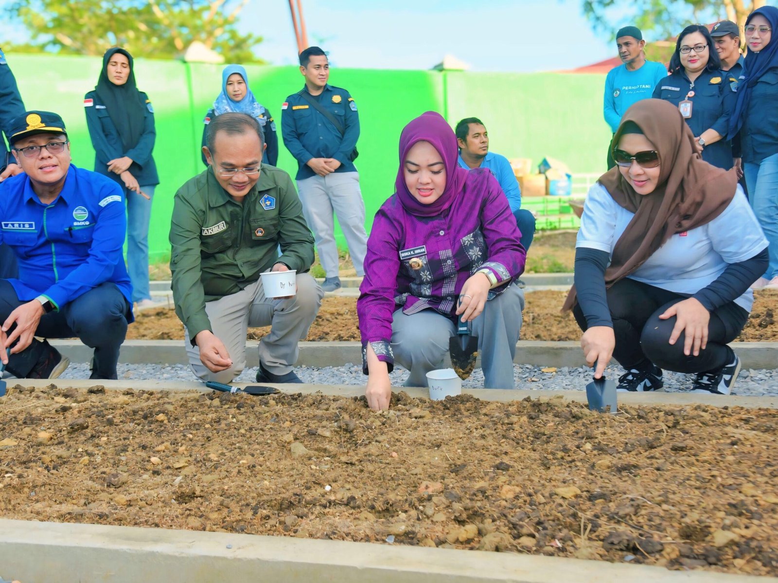 Pekarangan Rujab Wali Kota Kendari Disulap Jadi Kebun Edukasi Ketahanan Pangan Pekarangan Rujab Wali Kota Kendari Disulap Jadi Kebun Edukasi Ketahanan Pangan