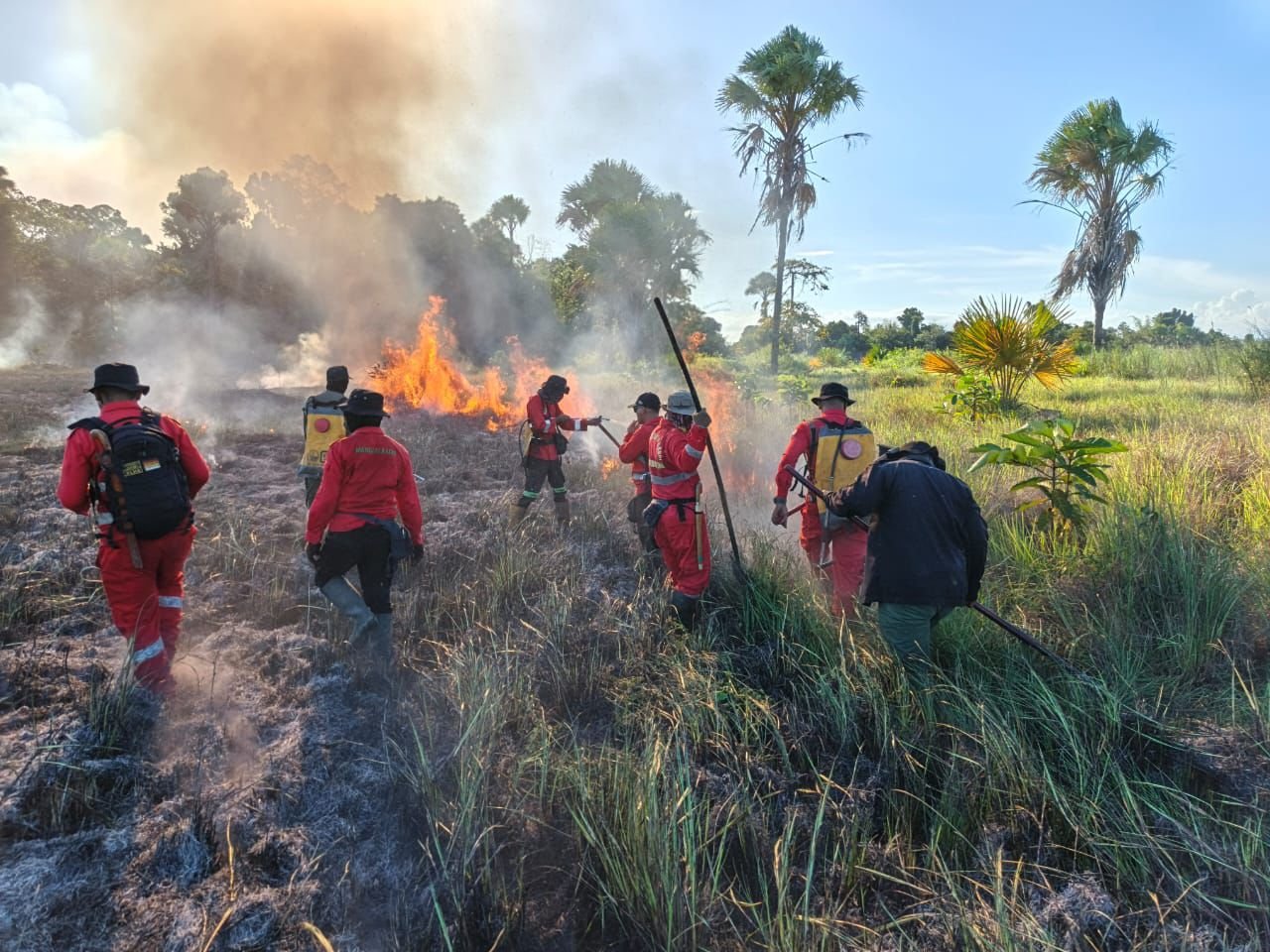 Taman Rawa Aopa Bombana Terbakar, Dipadamkan dari Siang hingga Malam Hari Taman Rawa Aopa Bombana Terbakar, Dipadamkan dari Siang hingga Malam Hari
