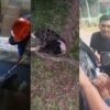 Dalam Sepekan, Dinas Kebakaran Kendari Evakuasi Anjing Terjebak hingga Ambil Kunci di Selokan