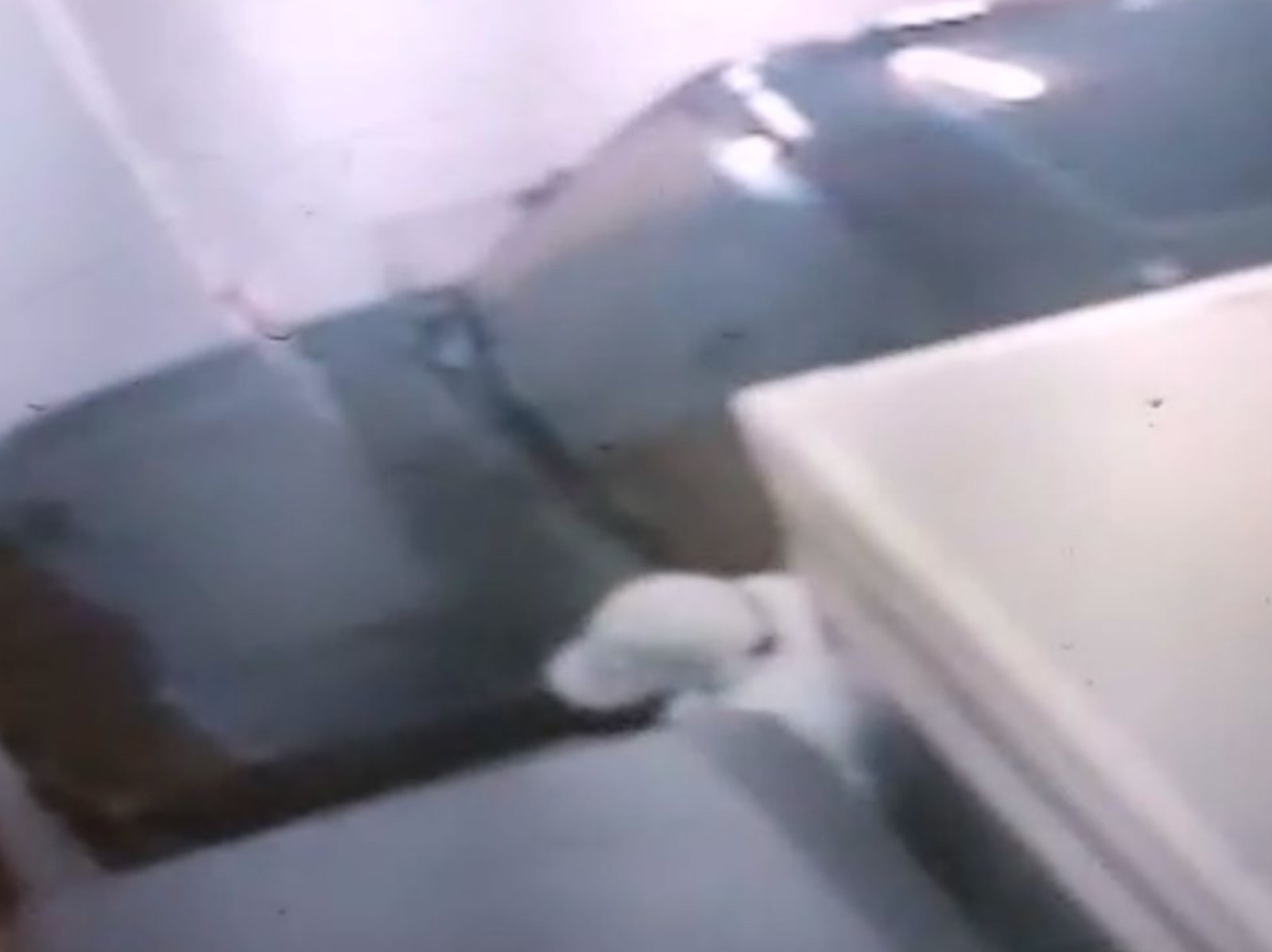 Mobil Pikap Toko Arken Food Mart Kendari Dicuri, Aksi Pelaku Terekam CCTV Mobil Pikap Toko Arken Food Mart Kendari Dicuri, Aksi Pelaku Terekam CCTV