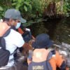 SAR Temukan Korban Meninggal Usai Tenggelam di Sungai Poaroha, Muna