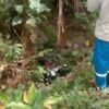 Polisi Sebut Pengendara Motor di Konsel yang Ditemukan Tewas Akibat Kecelakaan Tunggal