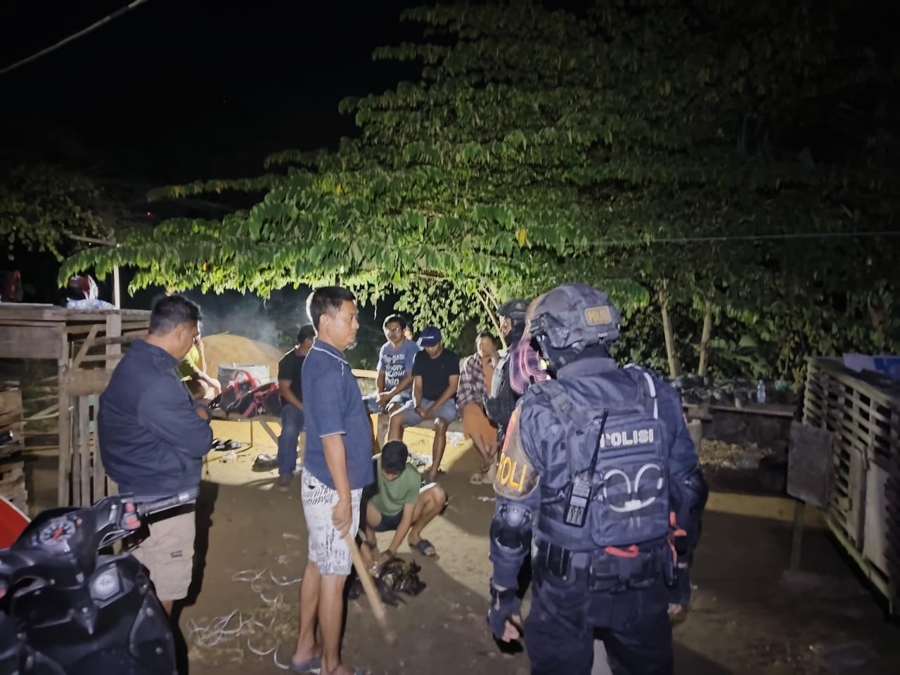 Polsek Baruga Gerebek Judi Sabung Ayam, 6 Pelaku Diamankan Polsek Baruga Gerebek Judi Sabung Ayam, 6 Pelaku Diamankan