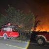Taman Rawa Aopa Bombana Terbakar dari Siang hingga Malam, Gumpalan Asap Membumbung Tinggi