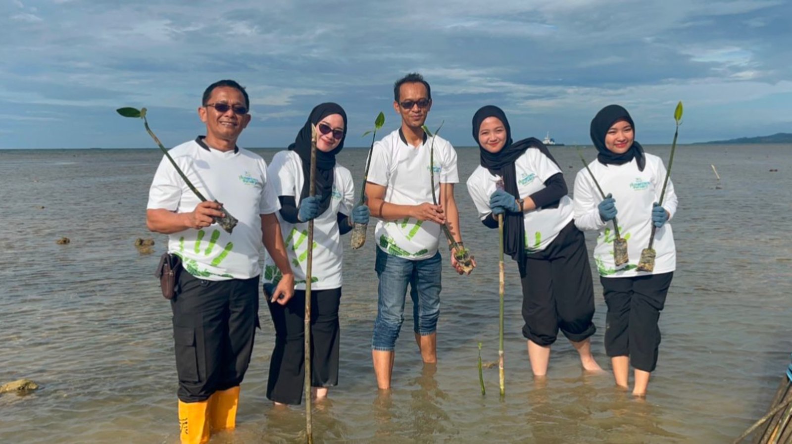 Cegah Abrasi, PLN NP Services Gandeng Warga Tanam Mangrove di Pantai Cikal Konawe Cegah Abrasi, PLN NP Services Gandeng Warga Tanam Mangrove di Pantai Cikal Konawe