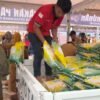 GPM Kota Kendari Digelar hingga 9 Oktober, Beras SPHP Dijual Rp50 Ribu per 5 kg