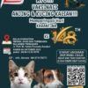 Besok! Karantina Sultra Laksanakan Vaksinasi Rabies Gratis untuk Anjing dan Kucing di Kendari