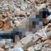 Sempat Hilang, Warga Moramo Utara, Konsel, Ditemukan Tewas di Tambang Batu