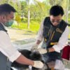 Ratusan Hewan Peliharaan di Kendari Dapat Vaksin Rabies Gratis dari Karantina Sultra