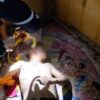 Pria di Kolaka Ditangkap Polisi saat Tidur Usai Diduga Cabuli Anak 5 Tahun