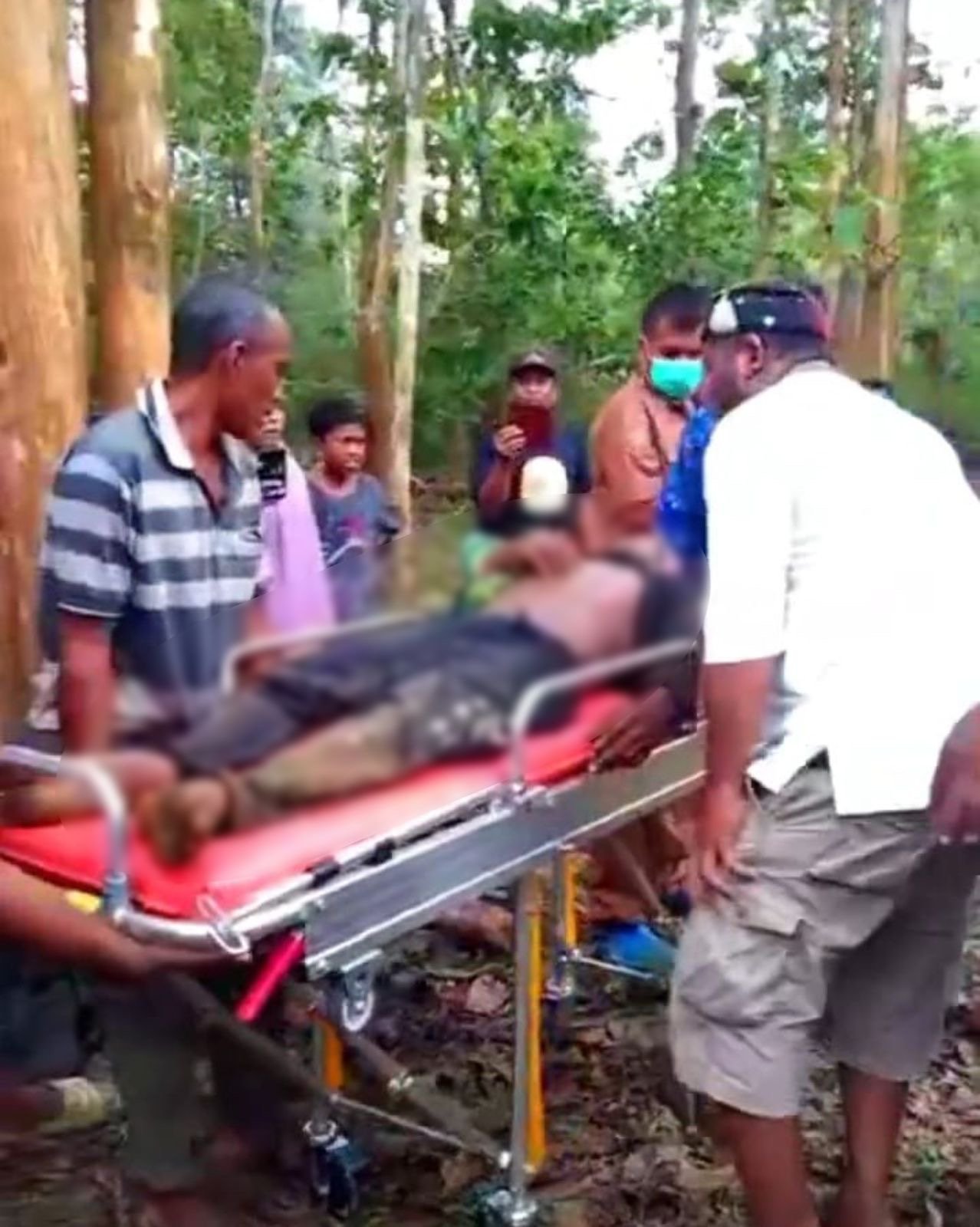 Penebang Kayu asal Muna Tertimpa Dahan Jati di Wamelai, Mubar Penebang Kayu asal Muna Tertimpa Dahan Jati di Wamelai, Mubar