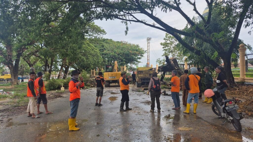 Sejumlah petugas dari Pemkot Kendari yang melakukan pembersihan usai pohon timpa truk di Eks MTQ, Jalan Tebaununggu, Kelurahan Korumba, Kecamatan Mandonga, Kota Kendari. Foto: Herlis Ode Mainuru/Kendariinfo. (18/11/2025).