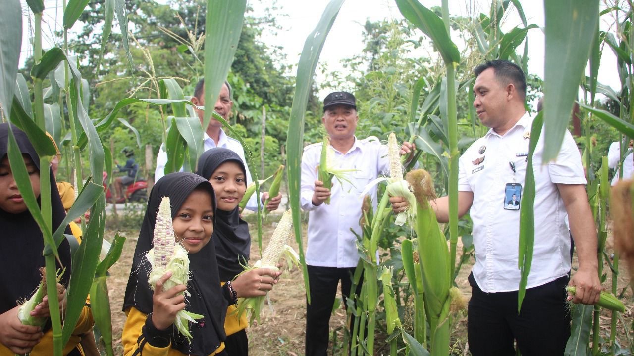 Momen Siswa SD Antusias Ikut Panen Jagung dan Sayur di Lapas Kendari Momen Siswa SD Antusias Ikut Panen Jagung dan Sayur di Lapas Kendari