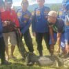 Warga Konawe Utara Digegerkan Kemunculan Buaya di Sungai, Damkar Lakukan Evakuasi
