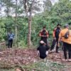 Tim SAR Cari Petani Hilang di Kebun Walompo Buton, Pencarian Hari Pertama Masih Nihil
